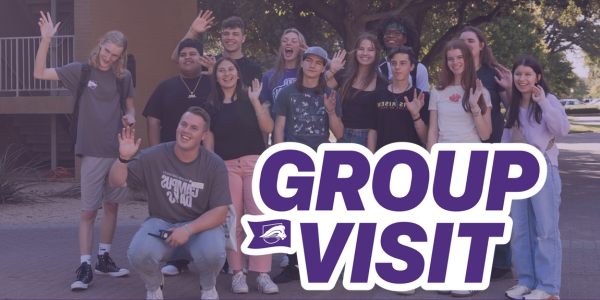 Daily Visit Logo